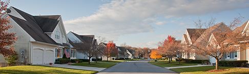 Residential Pest Control